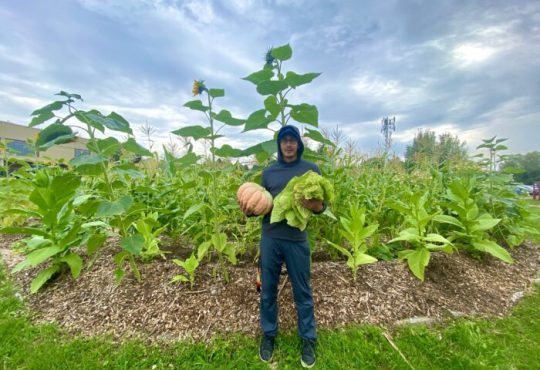 Picture of a person in a field holding a squash